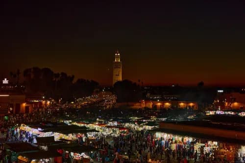 What to Do in Marrakech
