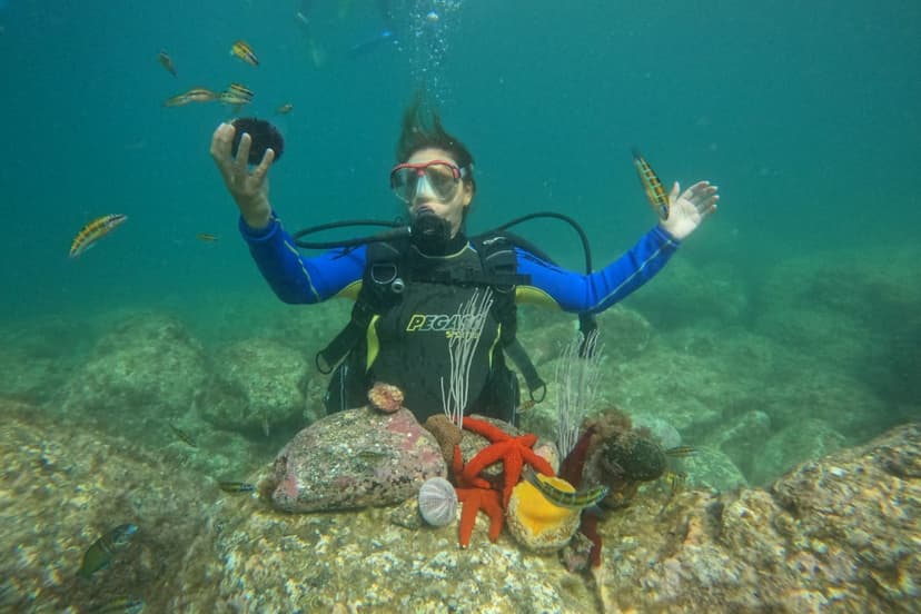 Dive School M'diq 2