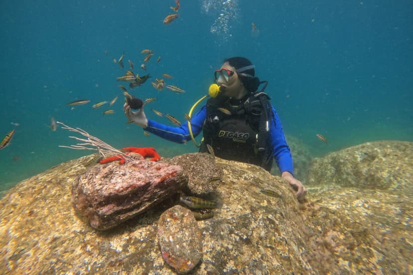 Dive School M'diq 3