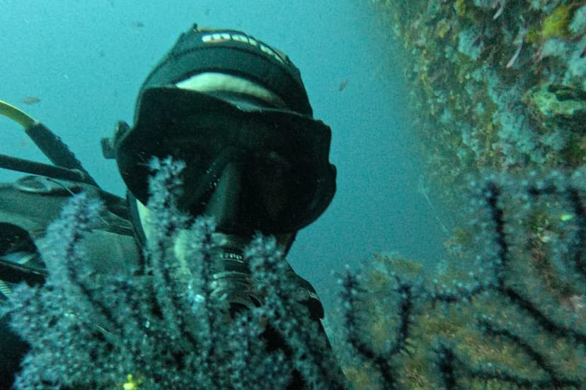 Nemo Diving 4