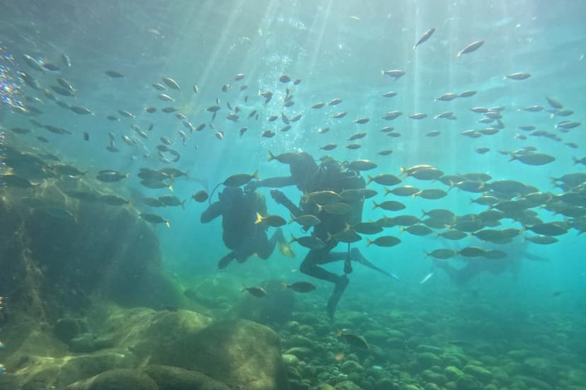 Nemo Diving 5