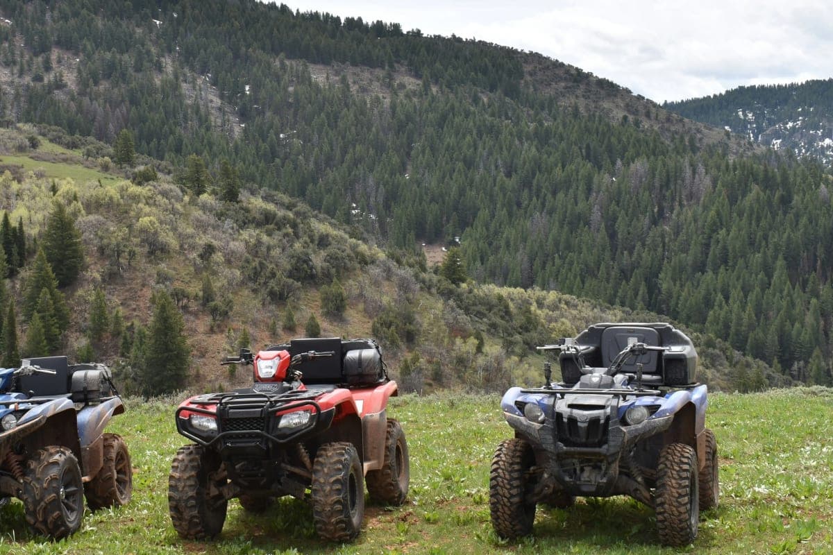 Tour Quad 2h — Randomed Quad Tanger 2