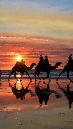 Balade Chameau au Coucher de Soleil — Plage de Tanger