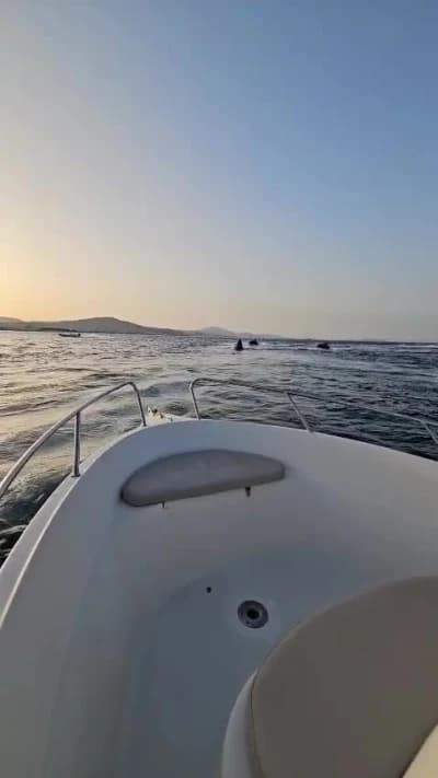 Location Bateau Marina 6 personnes — vidéo